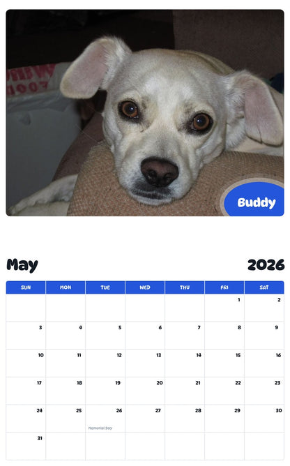 2026 - 2027 Buddy - Pawidols Pet Calendar