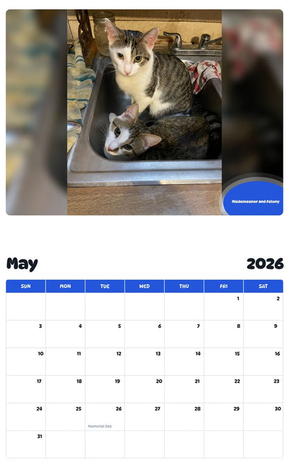 2026 - 2027 Misdemeanor and Felony - Pawidols Pet Calendar