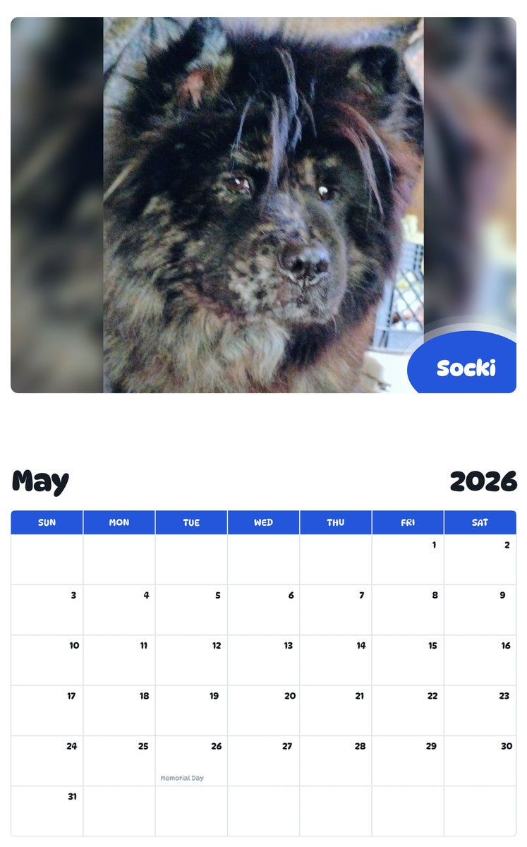 2026 - 2027 Socki - Pawidols Pet Calendar
