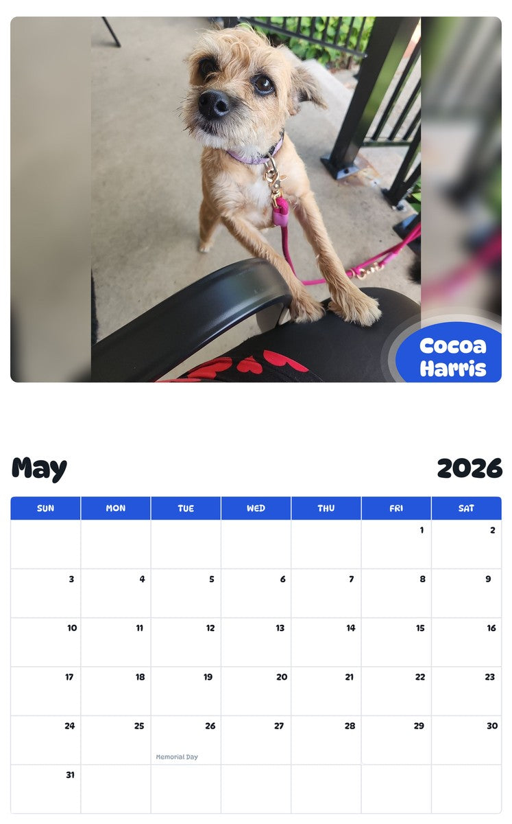 2026 - 2027 Cocoa Harris - Pawidols Pet Calendar