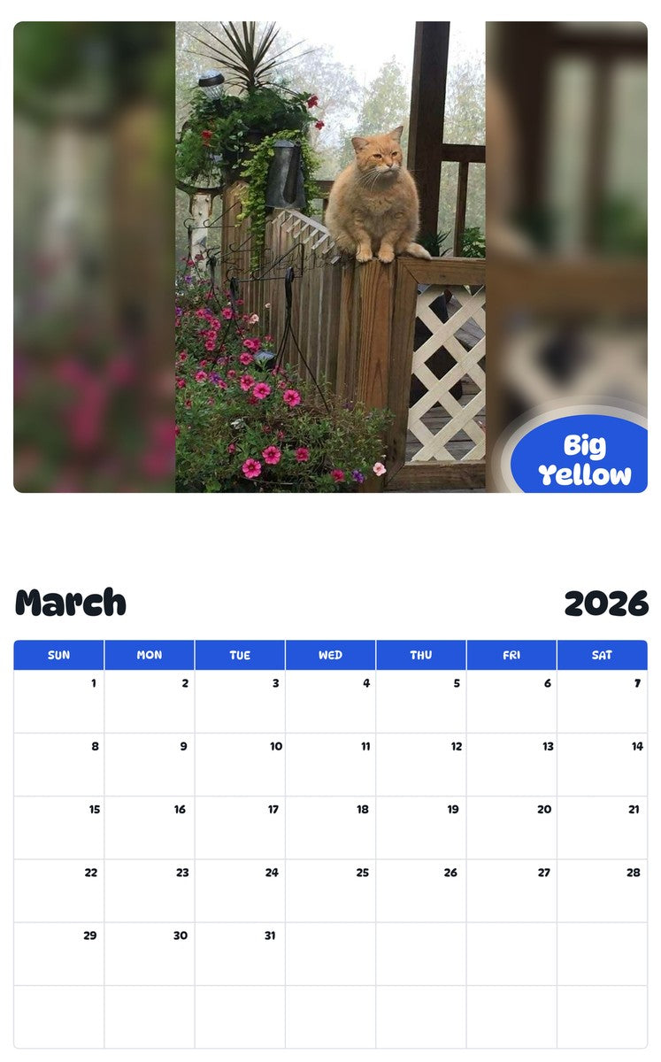 November 2025 - October 2026 Big Yellow - Pawidols Pet Calendar