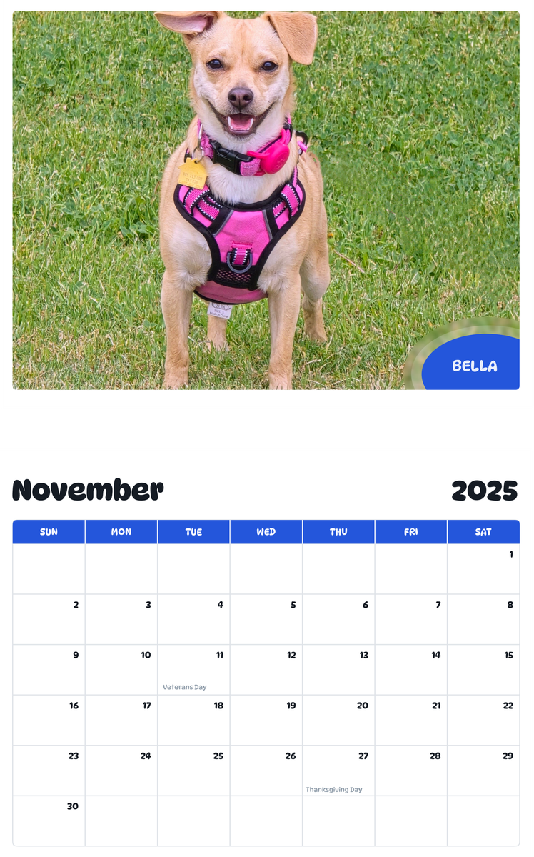 July 2025 - June 2026 Bella - Pawidols Pet Calendar