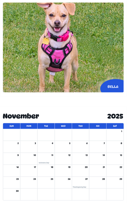 July 2025 - June 2026 Bella - Pawidols Pet Calendar