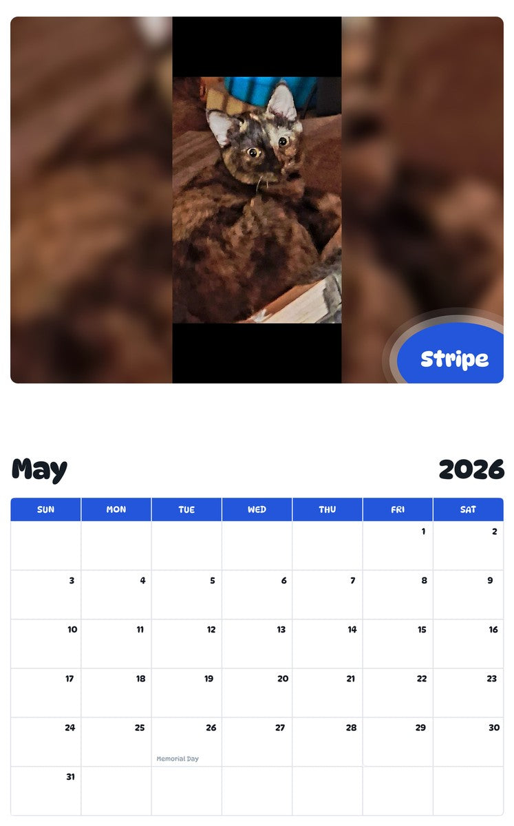 2026 - 2027 Stripe - Pawidols Pet Calendar