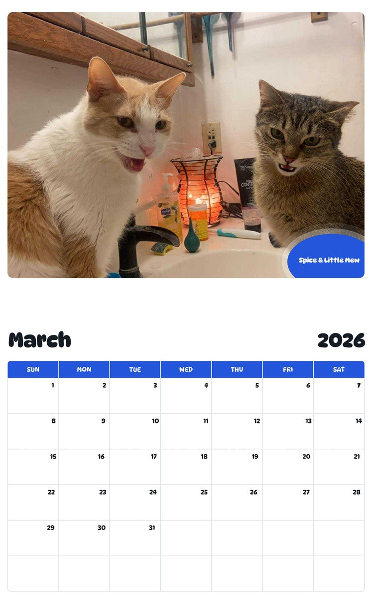 November 2025 - October 2026 Spice & Little Mew - Pawidols Pet Calendar