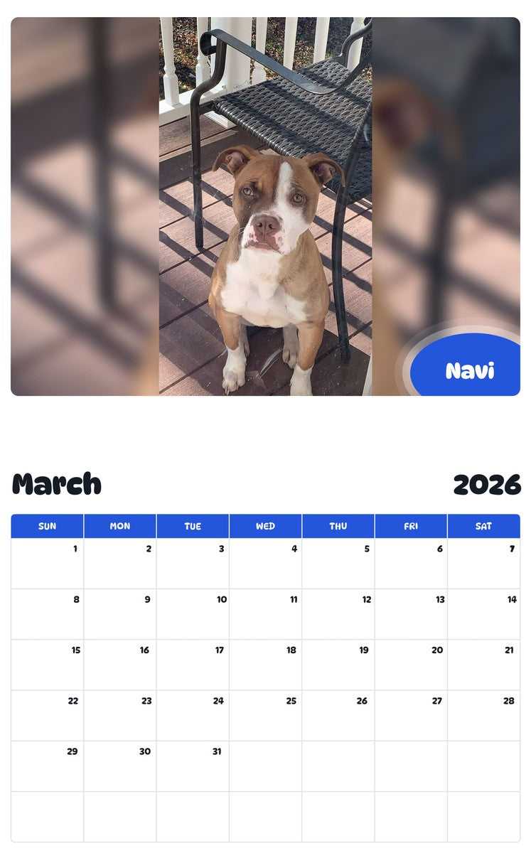 November 2025 - October 2026 Navi - Pawidols Pet Calendar