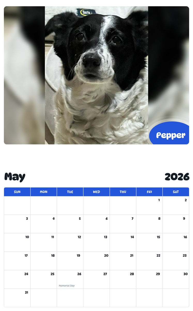 2026 - 2027 Pepper - Pawidols Pet Calendar