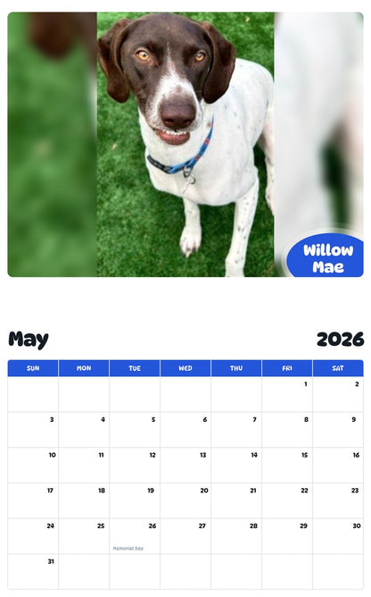 2026 - 2027 Willow Mae - Pawidols Pet Calendar