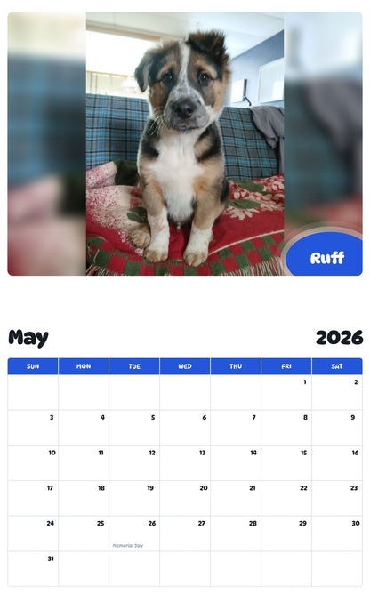 2026 - 2027 Ruff - Pawidols Pet Calendar
