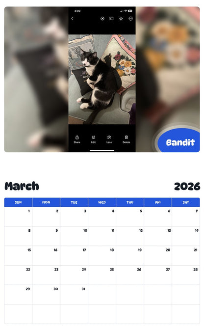 November 2025 - October 2026 Bandit - Pawidols Pet Calendar