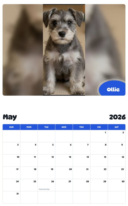 2026 - 2027 Ollie - Pawidols Pet Calendar