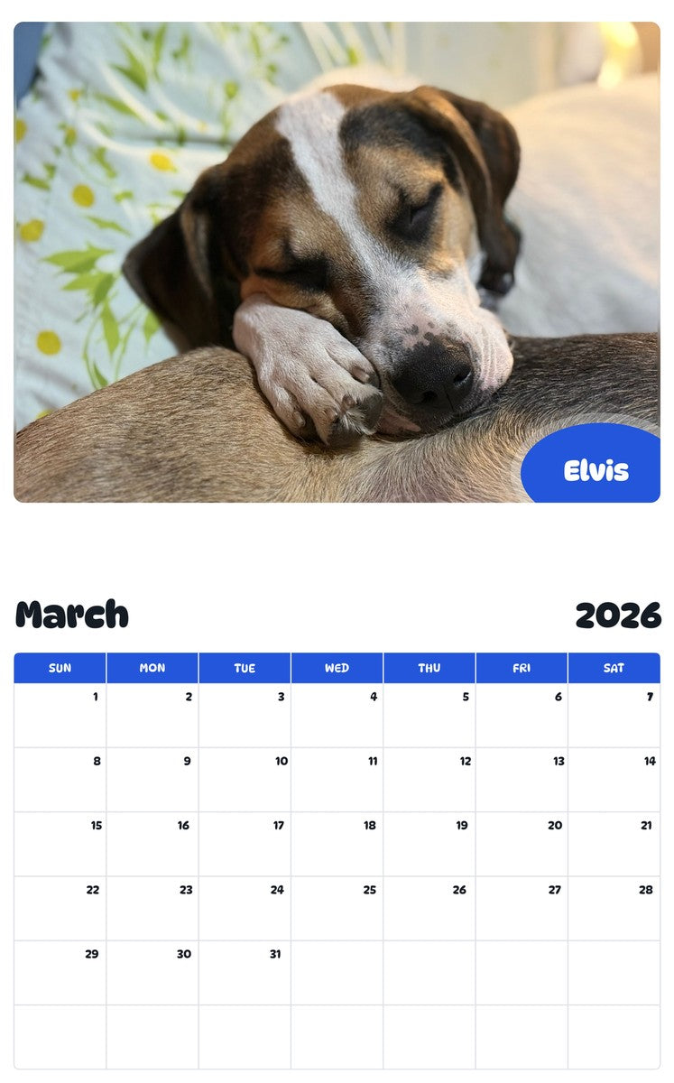 November 2025 - October 2026 Elvis - Pawidols Pet Calendar