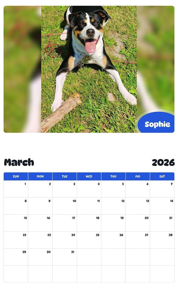 November 2025 - October 2026 Sophie - Pawidols Pet Calendar