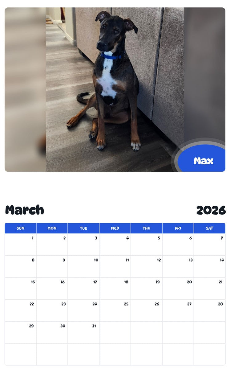 November 2025 - October 2026 Max - Pawidols Pet Calendar