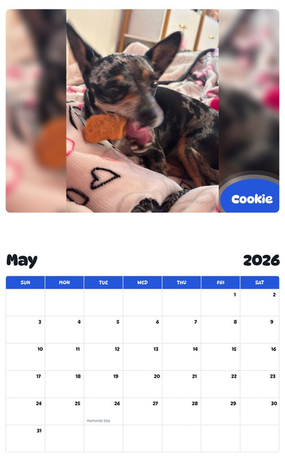 2026 - 2027 Cookie - Pawidols Pet Calendar