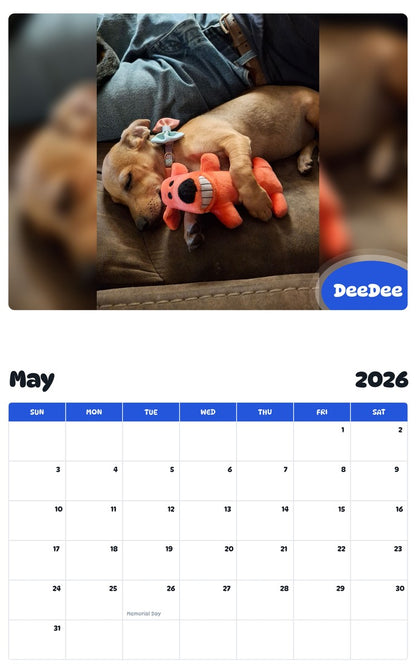 2026 - 2027 DeeDee - Pawidols Pet Calendar