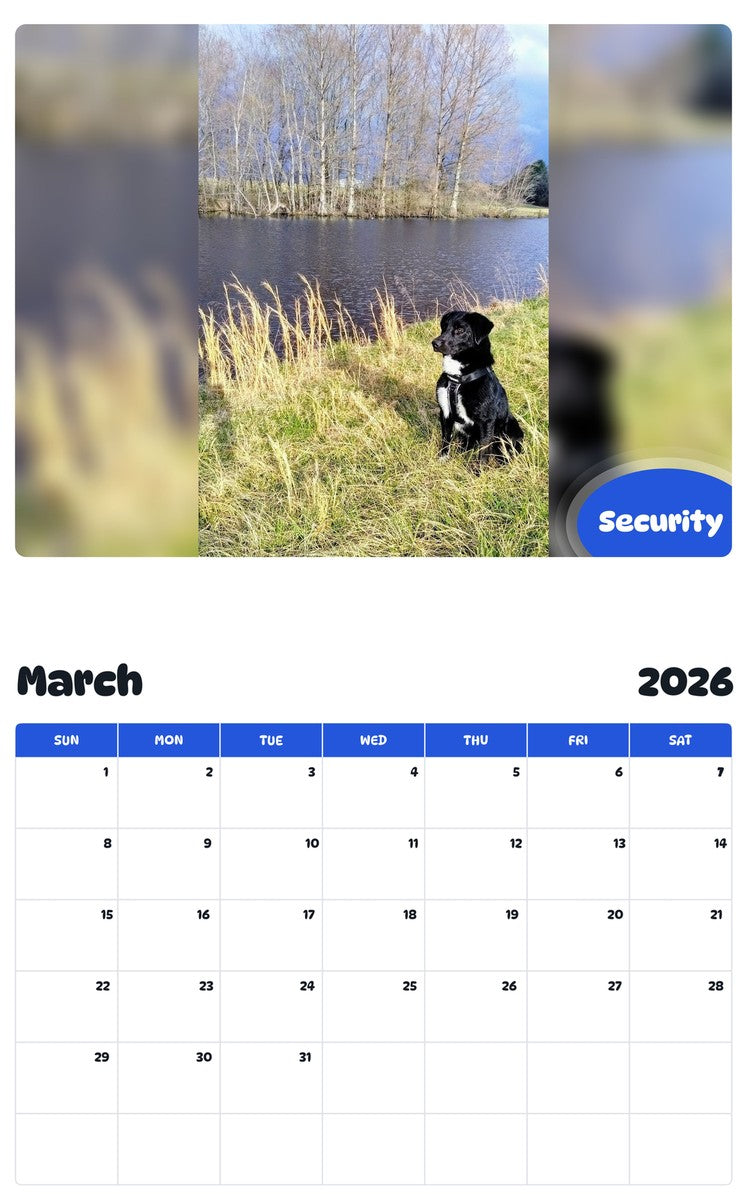 November 2025 - October 2026 Security - Pawidols Pet Calendar