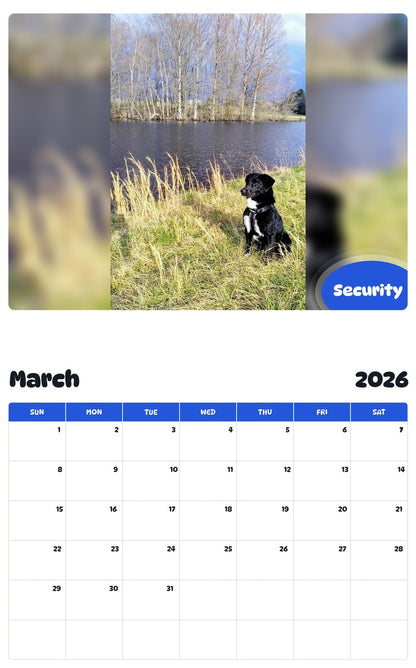 November 2025 - October 2026 Security - Pawidols Pet Calendar