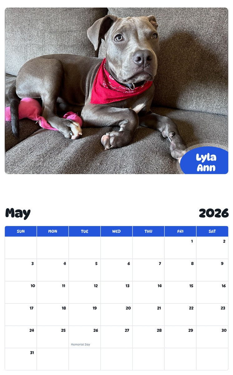 2026 - 2027 Lyla Ann - Pawidols Pet Calendar