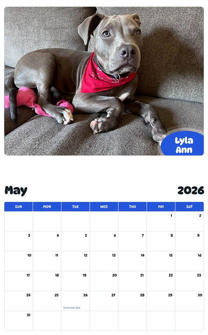 2026 - 2027 Lyla Ann - Pawidols Pet Calendar