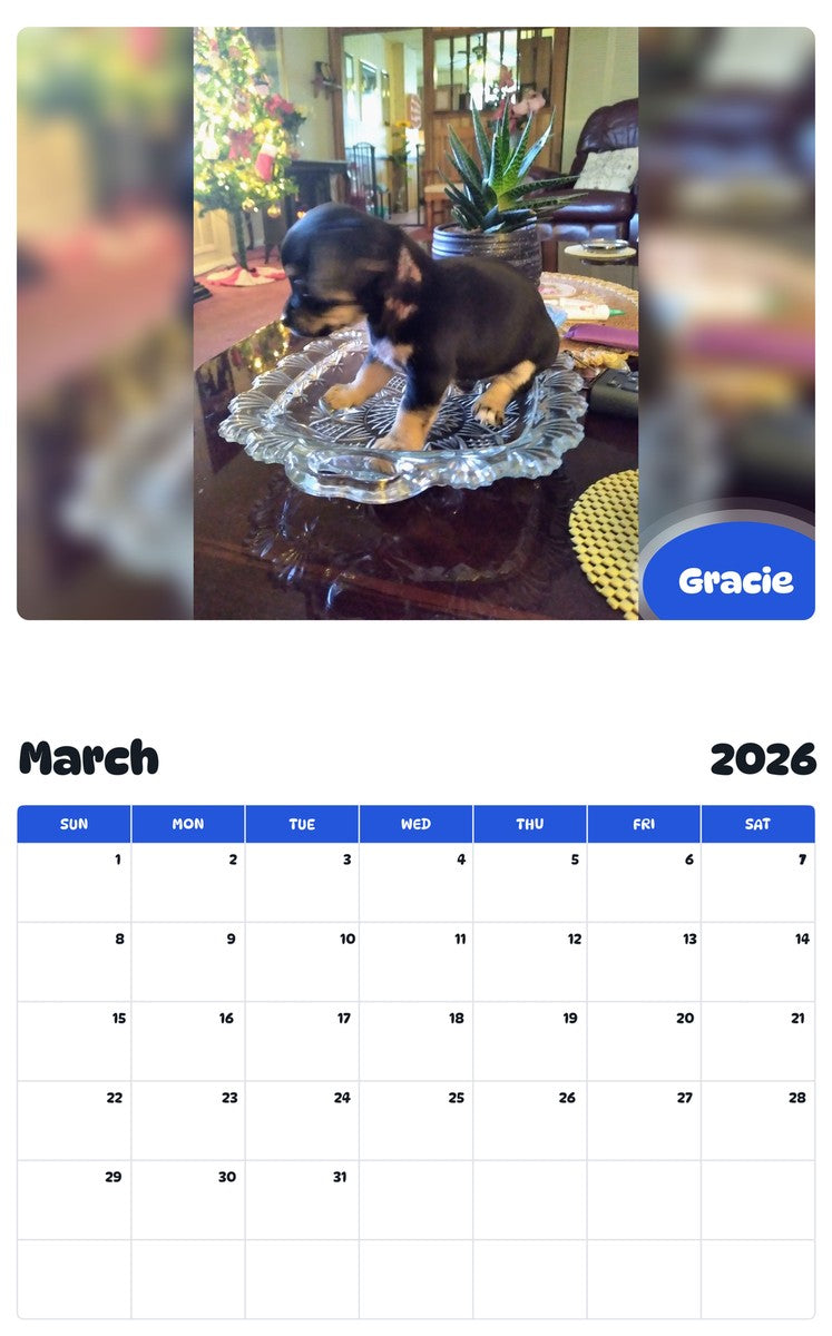 November 2025 - October 2026 Gracie - Pawidols Pet Calendar