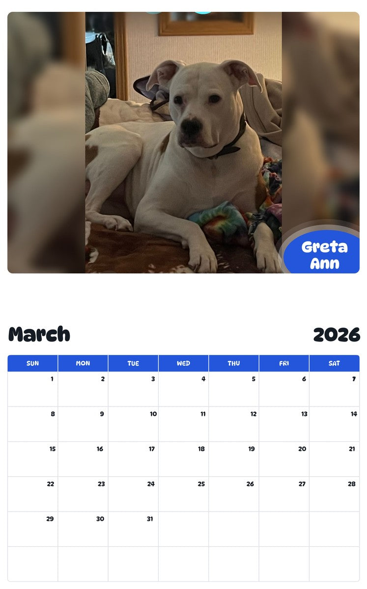 November 2025 - October 2026 Greta Ann - Pawidols Pet Calendar