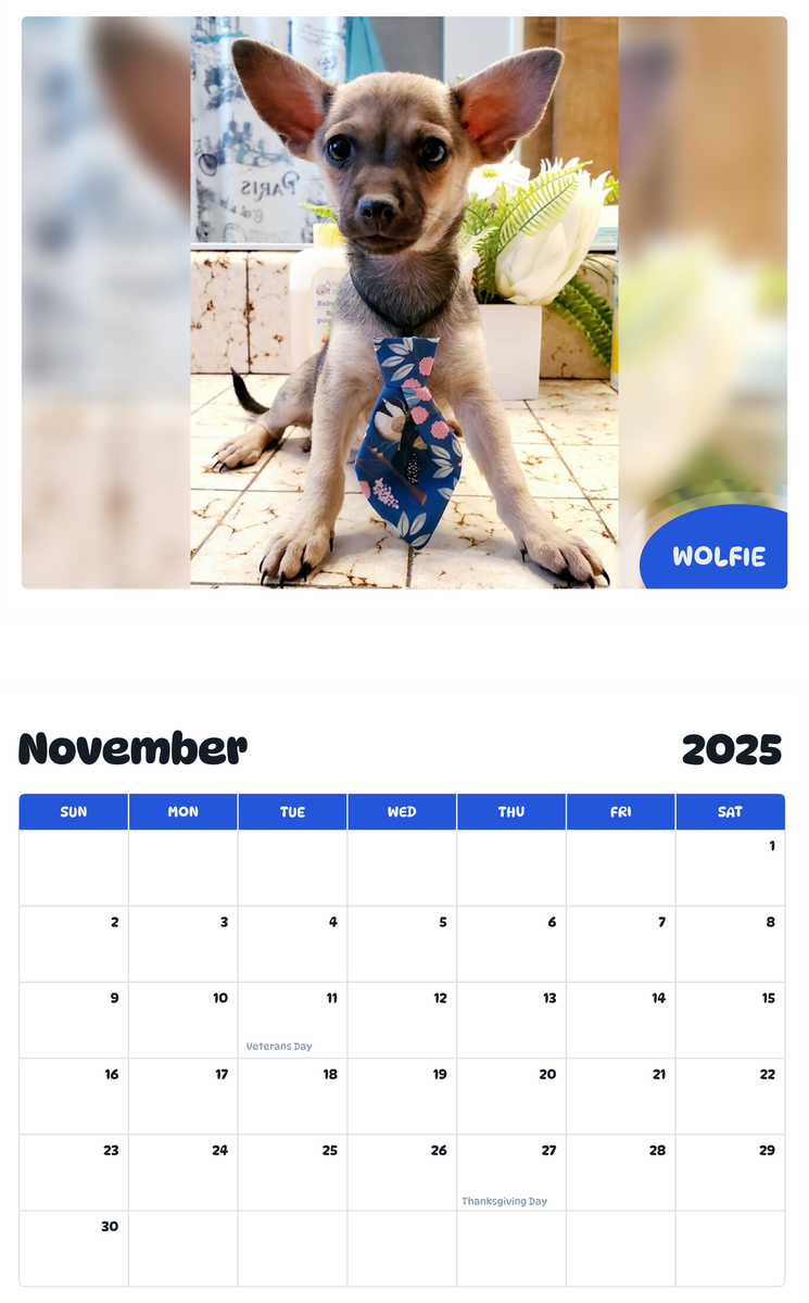 July 2025 - June 2026 W O L F I E - Pawidols Pet Calendar