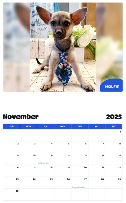 July 2025 - June 2026 W O L F I E - Pawidols Pet Calendar