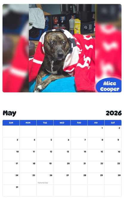 2026 - 2027 Alice Cooper - Pawidols Pet Calendar