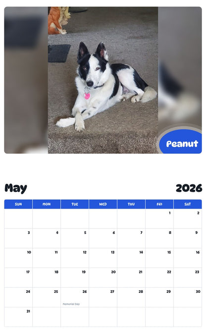 2026 - 2027 Peanut - Pawidols Pet Calendar