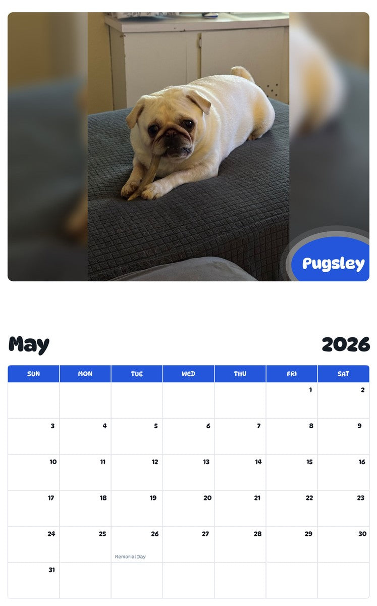 2026 - 2027 Pugsley - Pawidols Pet Calendar