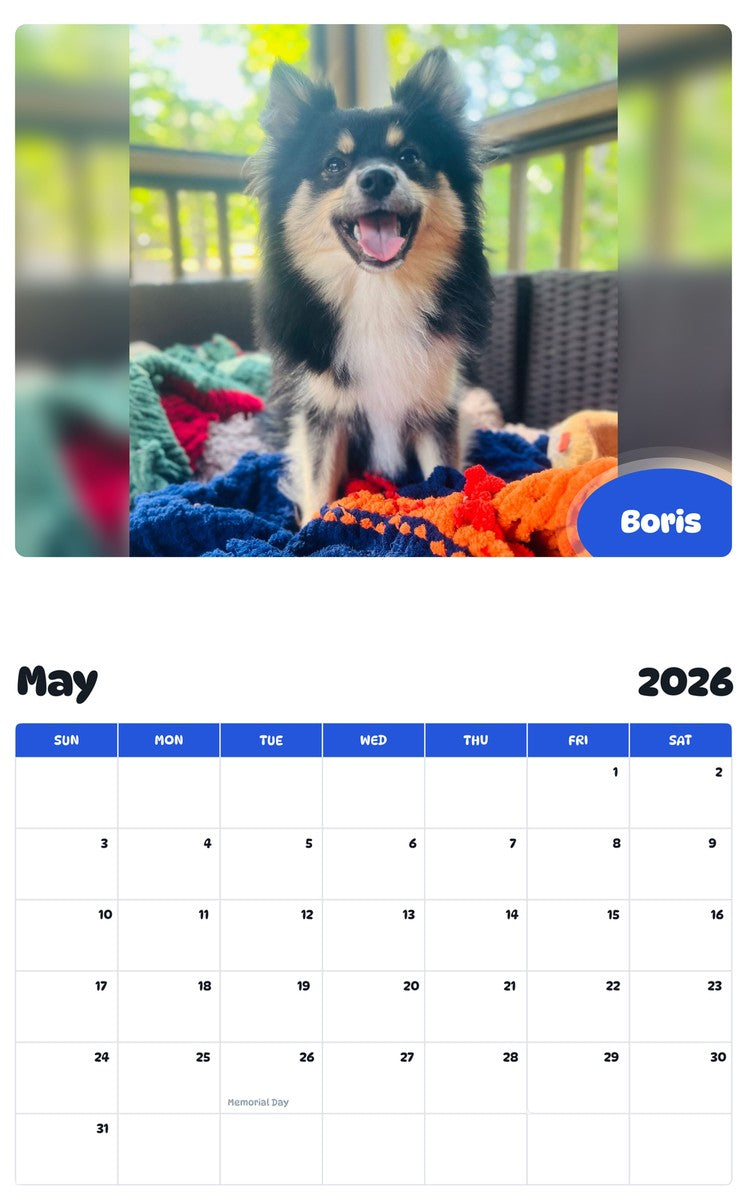 2026 - 2027 Boris - Pawidols Pet Calendar