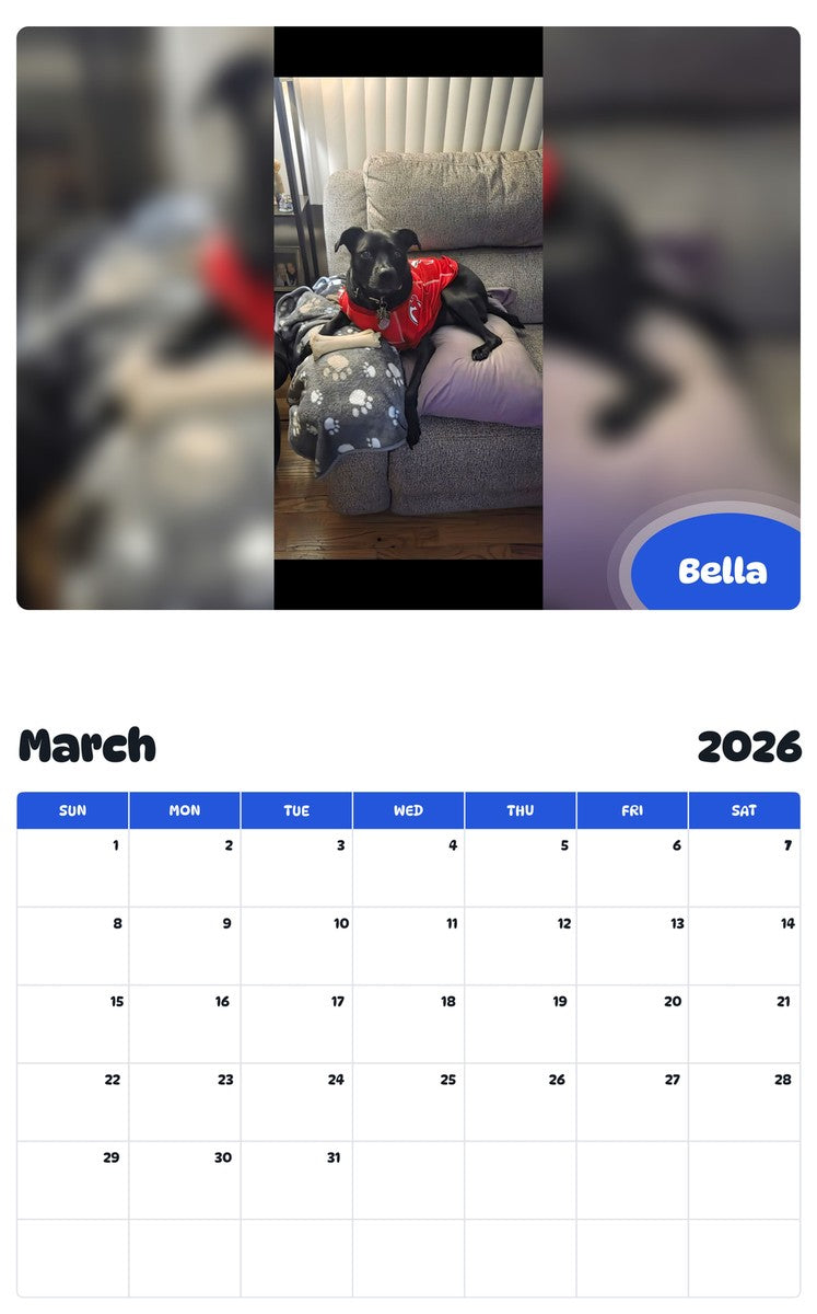 November 2025 - October 2026 Bella - Pawidols Pet Calendar