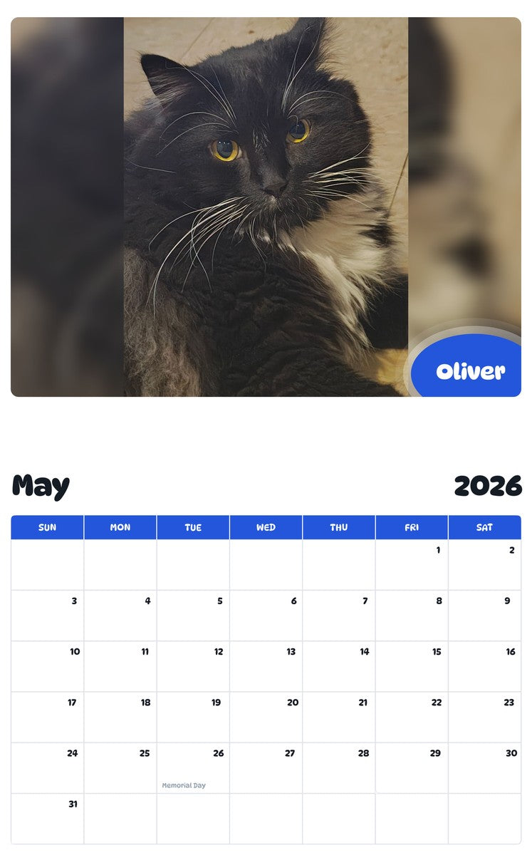 2026 - 2027 Oliver - Pawidols Pet Calendar