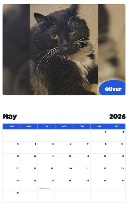 2026 - 2027 Oliver - Pawidols Pet Calendar