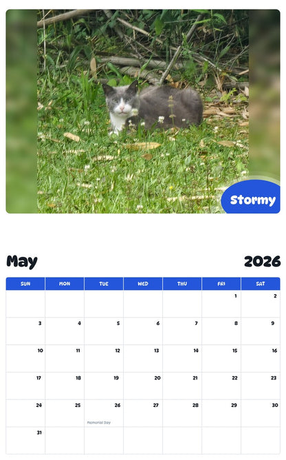 2026 - 2027 Stormy - Pawidols Pet Calendar