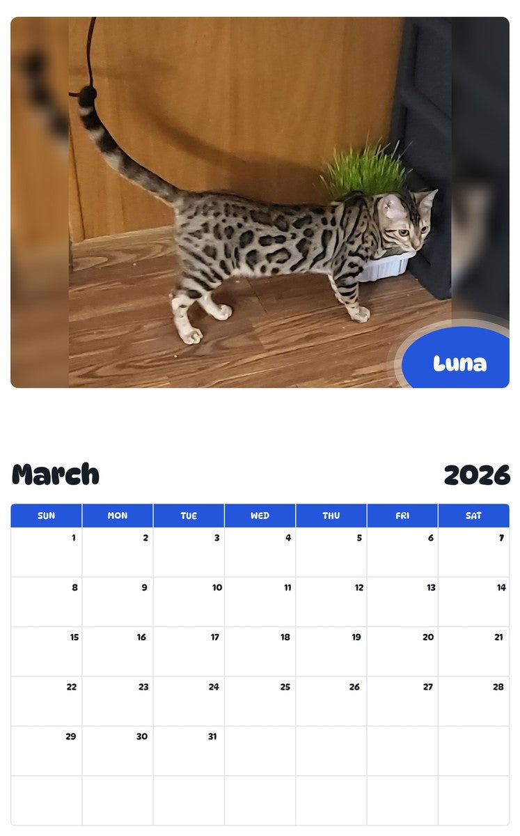 November 2025 - October 2026 Luna - Pawidols Pet Calendar