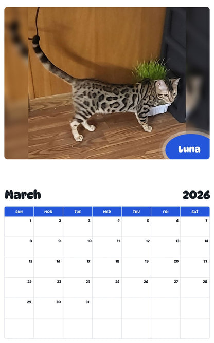 November 2025 - October 2026 Luna - Pawidols Pet Calendar