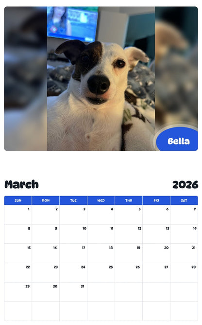 November 2025 - October 2026 Bella - Pawidols Pet Calendar