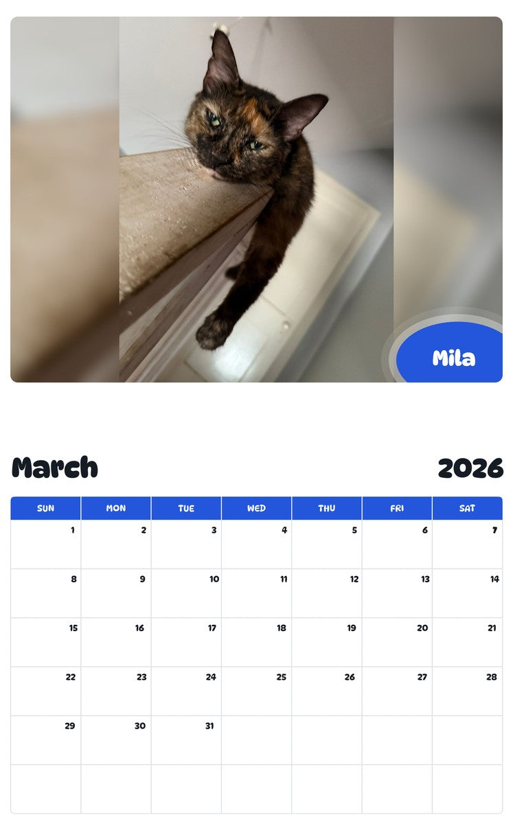 November 2025 - October 2026 Mila - Pawidols Pet Calendar