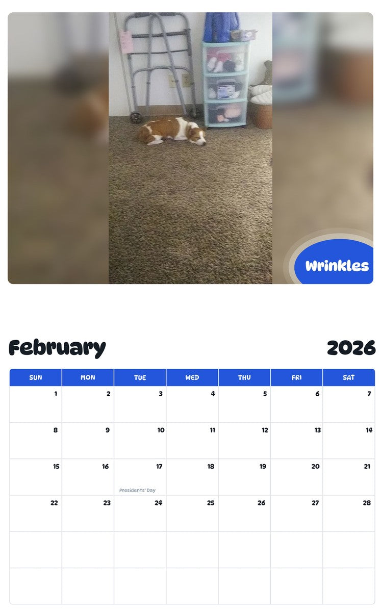 October 2025 - September 2026 Wrinkles - Pawidols Pet Calendar