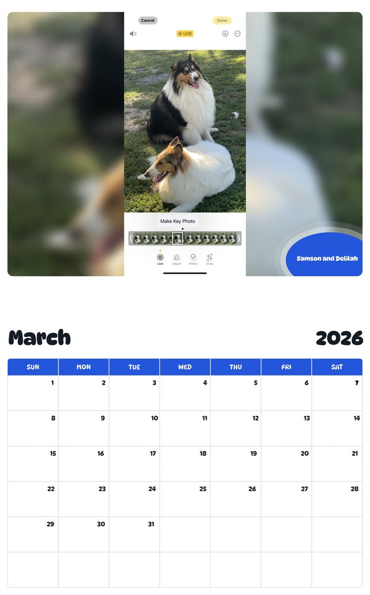 November 2025 - October 2026 Samson and Delilah - Pawidols Pet Calendar