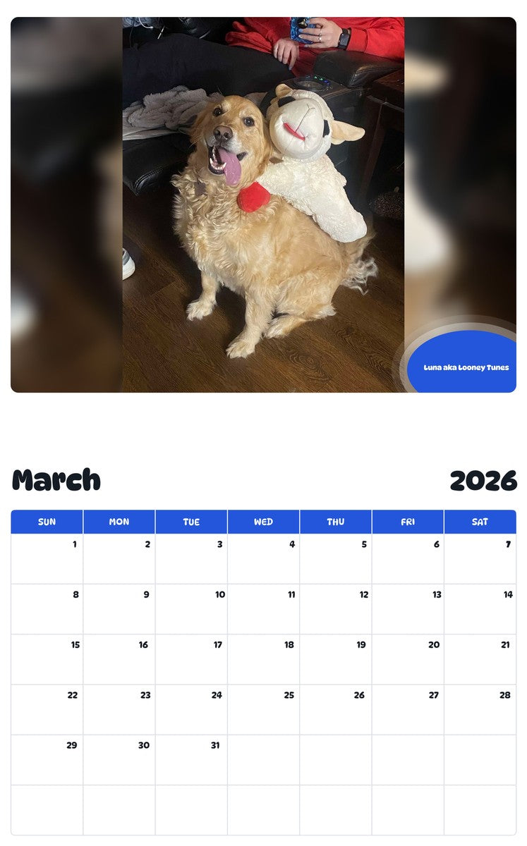 November 2025 - October 2026 Luna aka Looney Tunes - Pawidols Pet Calendar