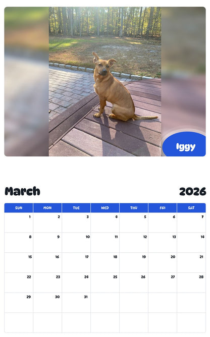 November 2025 - October 2026 Iggy - Pawidols Pet Calendar