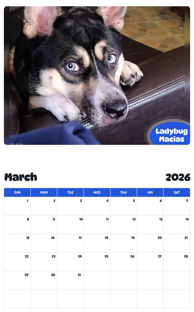 November 2025 - October 2026 Ladybug Macias - Pawidols Pet Calendar