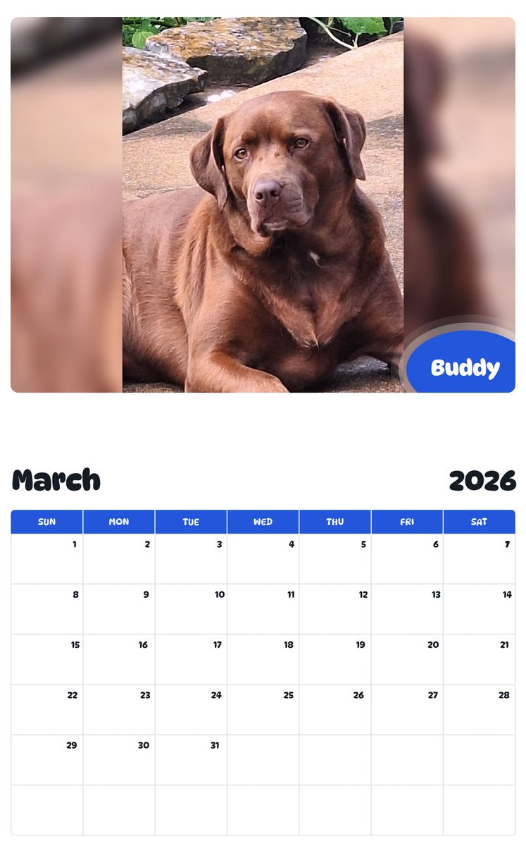 November 2025 - October 2026 Buddy - Pawidols Pet Calendar