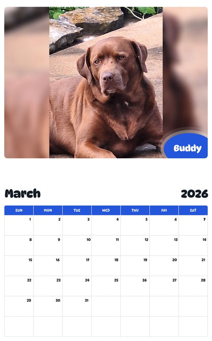 November 2025 - October 2026 Buddy - Pawidols Pet Calendar