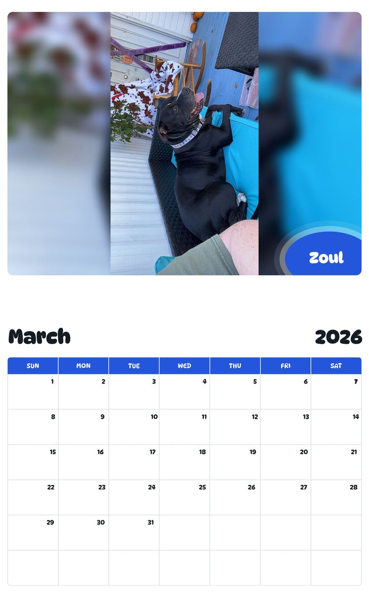 November 2025 - October 2026 Zoul - Pawidols Pet Calendar