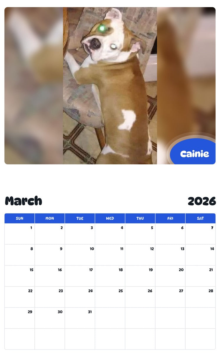November 2025 - October 2026 Cainie - Pawidols Pet Calendar