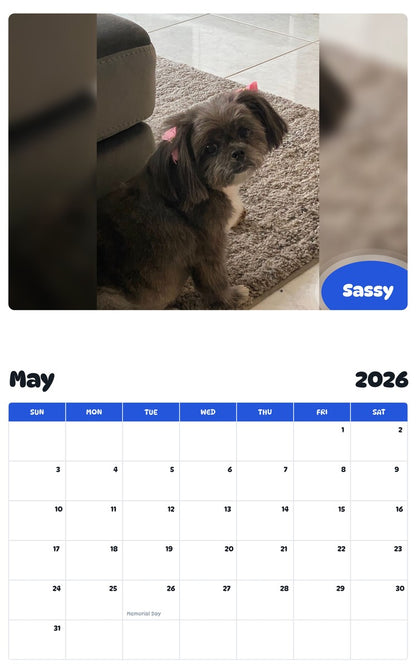 2026 - 2027 Sassy - Pawidols Pet Calendar